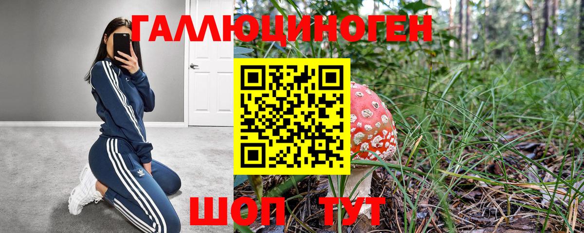 Гусев  Псилоцибиновые грибы ЛСД  дарнет шоп  Вход с VPN 